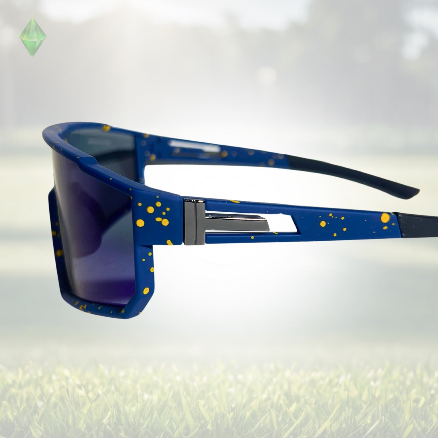 Sportiq VividShield - Eagle