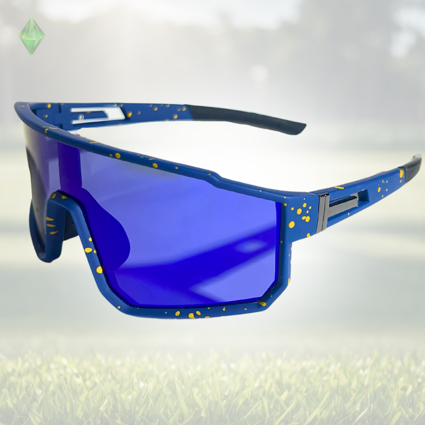 Sportiq VividShield - Eagle